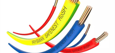 為揭露電線的奧秘，行業(yè)裝修專家親赴電線工廠？