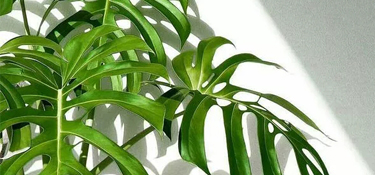 裝修工地篇 | 細(xì)節(jié)決定品質(zhì)，好家裝用工地說(shuō)話(huà)！