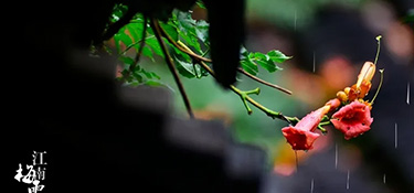 2022梅雨季正式開啟！想要在今年實(shí)現(xiàn)拎包入??？還不快來(lái)看看梅雨季裝修注意事項(xiàng)！