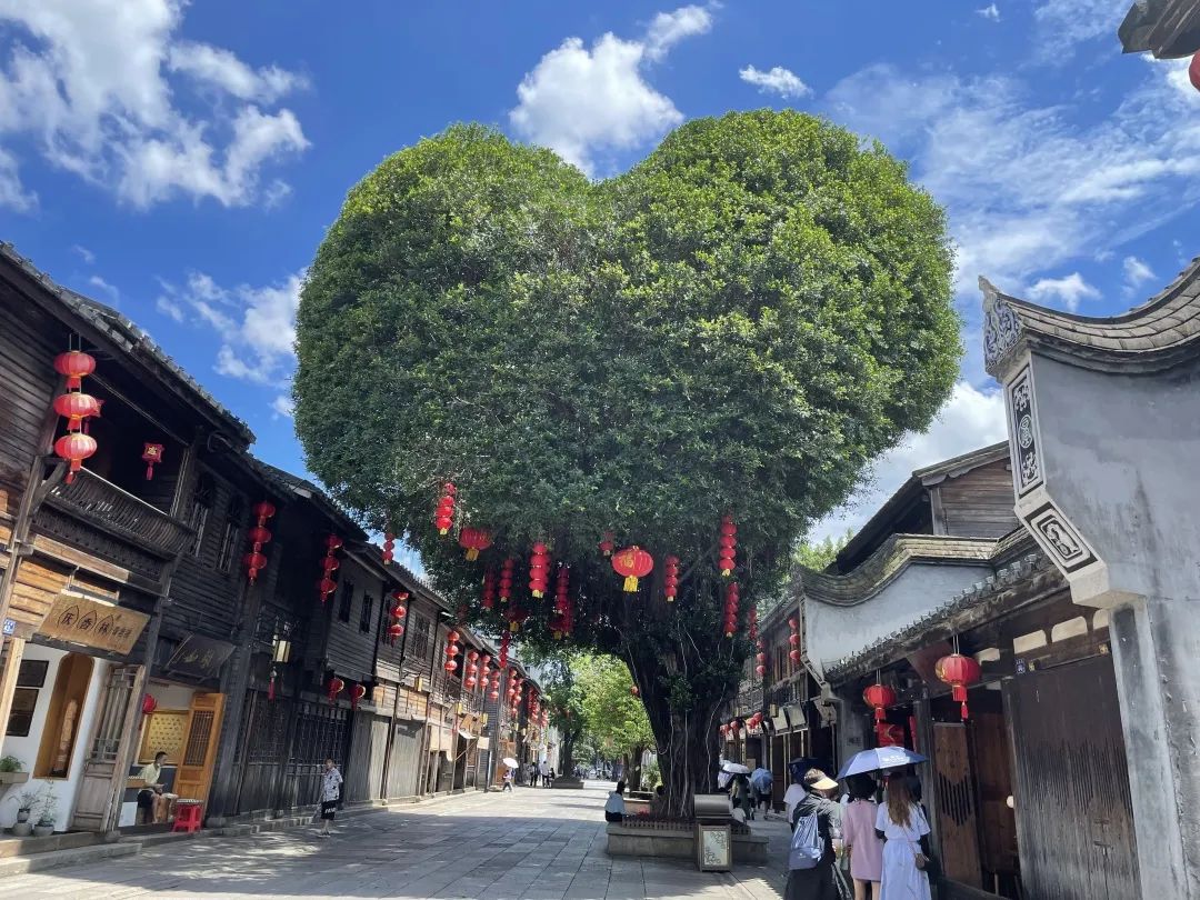 在福州的三坊七巷歷史文化街里，親眼見到了這棵愛心樹