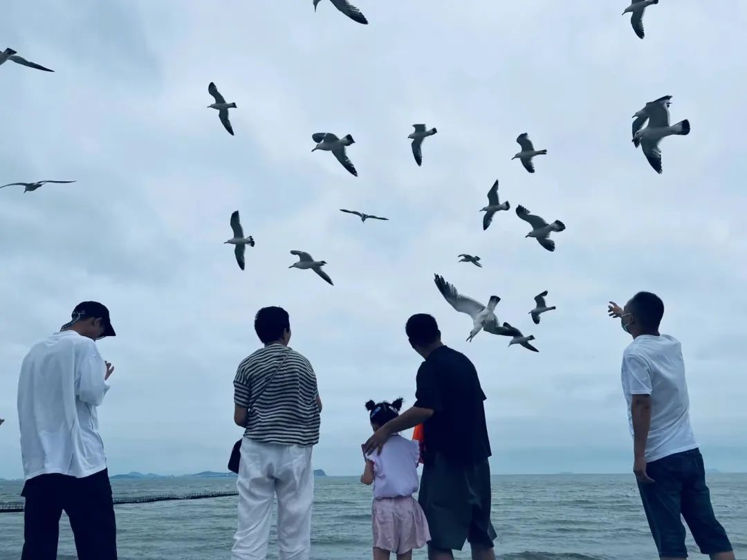 人約山海間，翩然見天地，抵達(dá)目的地的銘品家人們，第一時(shí)間去海邊漫步，感受傍晚的溫柔海風(fēng)。